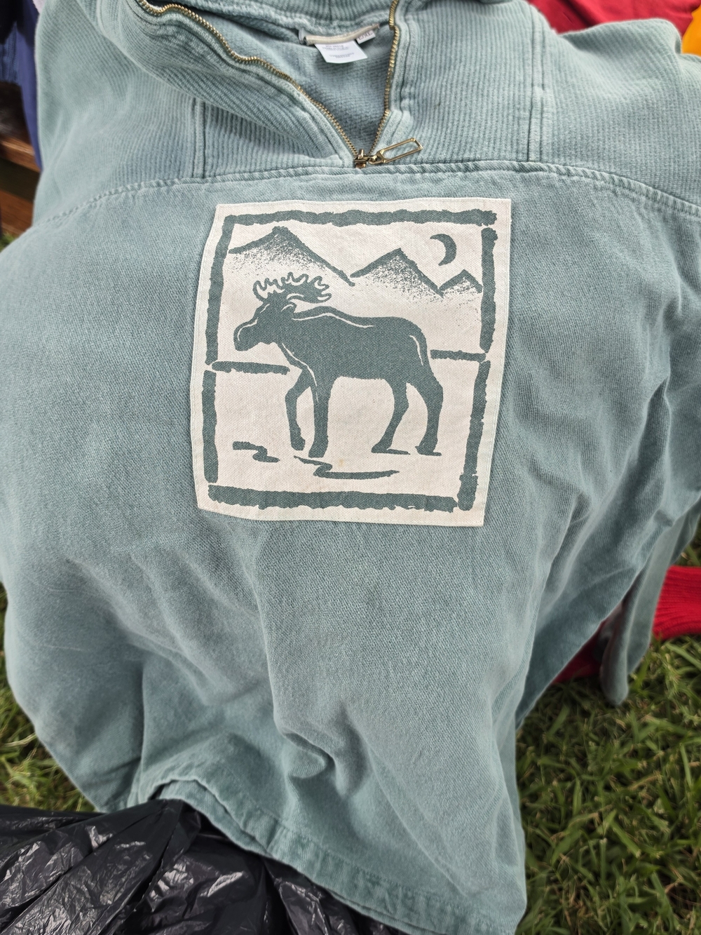 Men's Light Teal Pullover Hoodie with Moose Graphic